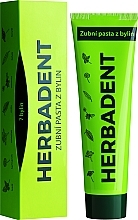 Зубная паста "Травяная" - Herbadent Original Herbal Toothpaste — фото N2