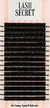 Накладные ресницы, черные, 16 линий (один размер, 0,07, L, 8) - Lash Secret — фото N1