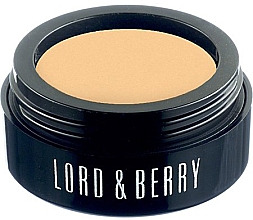 Парфумерія, косметика Кремовий консилер для обличчя - Lord & Berry Flawless Creamy Concealer