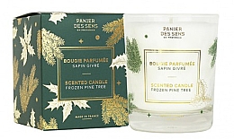 Парфумерія, косметика Ароматизована свічка "Зимова Сосна" - Panier Des Sens Scented Candle Frozen Pine Tree