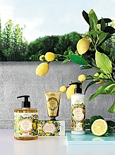 Екстра-ніжне рослинне мило "Прованс" - Panier Des Sens Extra-gentle Vegetable Soap — фото N4