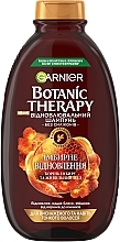 Відновлювальний шампунь для виснаженого та навіть тонкого волосся "Імбирне Відновлення" - Garnier Botanic Therapy — фото N3
