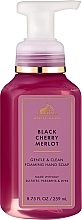 Мыло-пена для рук "Черная вишня Мерло" - Bath And Body Works Gentle & Clean Foaming Hand Soap Black Cherry Merlot — фото N1