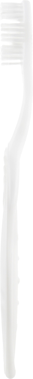 Набор "Экстракт Моринги", белый - Coolbright Herbal (toothpaste/130ml + toothbrush/1pcs) — фото N3