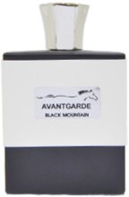 Парфумерія, косметика Parfum Deluxe Avantgarde Black Mountain - Парфумована вода 