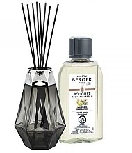 Набор - Maison Berger Wilderness Prisme Black Reed Diffuser Gift Set (diffuser/200ml + refill/200ml) — фото N2
