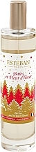 Esteban Berries And Winter Flower - Парфюмированный спрей для дома — фото N1