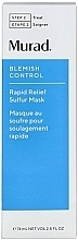 Очищувальна маска для обличчя із сіркою - Murad Blemish Control Rapid Relief Sulfur Mask — фото N2