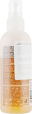 ПОДАРУНОК! Спрей-кондиціонер з арганієвою олією - Inebrya Ice Cream Pro Age 2-Phase Conditioner Argan Oil — фото N2