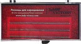 Духи, Парфюмерия, косметика Ресницы пучковые, 12 мм, EY-BS-02C - Lady Victory