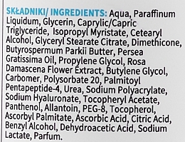 Успокаивающий крем для лица "Дамасская роза" 40+ - Mincer Pharma Hyaluron Face Cream — фото N2