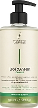 Парфумерія, косметика Шампунь для жирного волосся - Profesional Cosmetics Borganik Control Shampoo