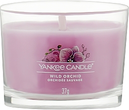 Набір ароматичних свічок "Дика орхідея" - Yankee Candle Wild Orchid (candle/3x37g) — фото N2