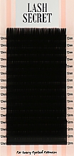 Накладные ресницы, черные, 16 линий (один размер, 0.1, С, 12) - Lash Secret — фото N1