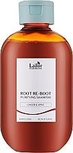 Шампунь для волос с имбирем и яблоком - La'dor Root Re-Boot Purifying Shampoo Ginger & Apple — фото N1