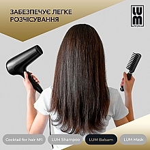 Набір "Професійний догляд за волоссям" - LUM (shm/250ml + h/balm/250ml + h/mask/200ml + hair/coc/50ml) — фото N14