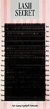 Накладные ресницы, черные, 16 линий (mix, 0,07, M, 6-13) - Lash Secret — фото N1
