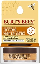 Кондиционирующий скраб для губ - Burt's Bees Conditioning Lip Scrub — фото N4