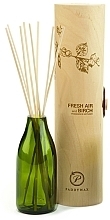 Парфумерія, косметика Аромадифузор "Свіже повітря та береза" - Paddywax Eco Green Diffuser Fresh Air & Birch