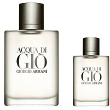 Парфумерія, косметика Giorgio Armani Acqua Di Gio Pour Homme - Набір (edt/100ml + edt/30ml)