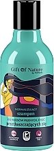 Шампунь для жирного волосся - Vis Plantis Gift of Nature Normalizing Shampoo For Greasy Hair — фото N1