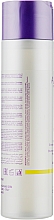 Балансуючий шампунь тривалої дії для жирної шкіри - Farmavita Amethyste Regulate Sebo Control Shampoo — фото N2