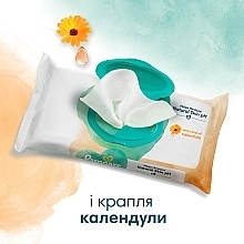 Дитячі вологі серветки з календулою, 396 шт. - Pampers Harmonie Protect&Care Baby Wipes  — фото N4