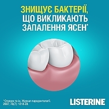 Ополаскиватель для полости рта "Свежая мята" (Защита десен) - Listerine — фото N10