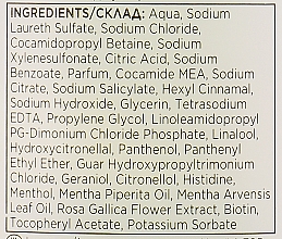 Шампунь без силіконів "Об'єм від коренів" - Pantene Pro-V Miracles Lift'n Volume — фото N10