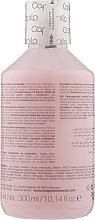 Лікувальний шампунь проти лупи - Eva Professional Capilo Oxygenum Shampoo №06 — фото N2