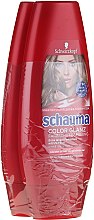 Духи, Парфюмерия, косметика Набор - Schauma Color Glanz Conditioner (h/cond/2x250ml)