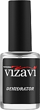 Обезжириватель с антибактериальным эффектом - Vizavi Professional Dehydrator — фото N1
