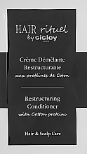 Духи, Парфюмерия, косметика Реструктурирующий кондиционер для волос - Sisley Hair Rituel Restructuring Conditioner (пробник)