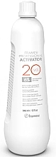 Парфумерія, косметика Активатор - Framesi Professional Activator 20 Vol. 6%