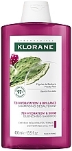 Шампунь для зволоження та надання блиску з опунцією - Klorane 72H Hydration & Shine Quenching Shampoo With Prickly Pear — фото N3