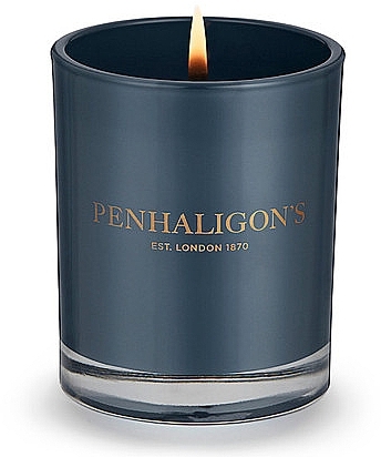 Ароматическая свеча в стакане - Penhaligon's Roanoke Ivy Candle — фото N2