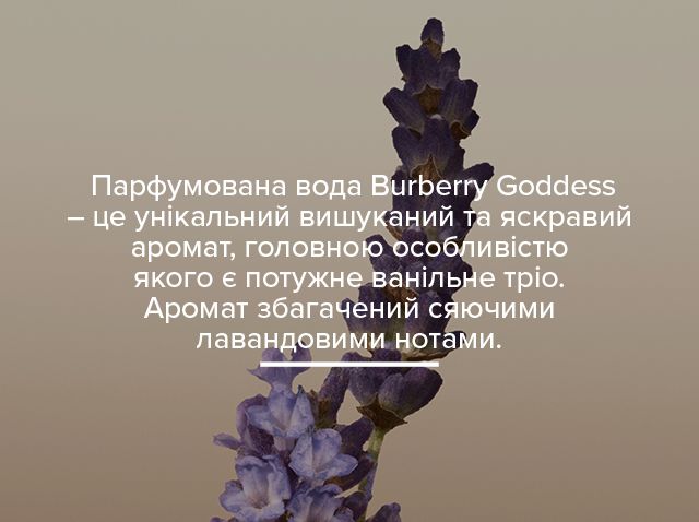 Burberry Goddess