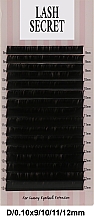 Накладные ресницы, черные, 16 линий (mix, 0,1, D, 9-12) - Lash Secret — фото N1
