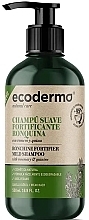 Духи, Парфюмерия, косметика Шампунь для укрепления волос - Ecoderma Ronchine Fortifier Mild Shampoo