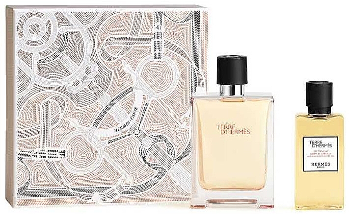 Hermes Terre d’Hermes - Набор (edt/100ml + sh/gel/80ml) — фото N1