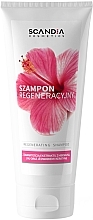 Духи, Парфюмерия, косметика Регенерирующий шампунь для волос - Scandia Cosmetics Regenerating Shampoo