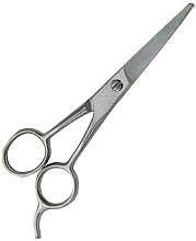 Ножиці перукарські, 5.5 см - Ronney Professional Srebrne — фото N1