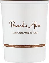 Парфумерія, косметика Ароматична свічка "Старі хатини в Шапомвалі" - Promenade A Auvers  Les Chaumes du Gre