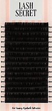 Накладные ресницы, черные, 16 линий (один размер, 0,07, C, 9) - Lash Secret — фото N1