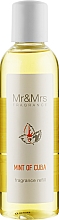 Наполнитель для аромадиффузора "Мята Кубы" - Mr&Mrs Mint of Cuba Fragrance Refill — фото N1