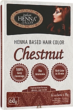 Парфумерія, косметика Фарба для волосся "Каштан" - Indian Henna Salon Based Hair Colour Chestnut