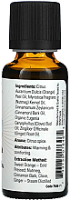 Эфирное масло сидр со специями - Now Foods Essential Spiced Cider Essential Oil — фото N2