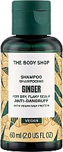 Духи, Парфюмерия, косметика Шампунь для волос с имбирем - The Body Shop Ginger Shampoo 