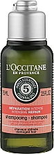 Парфумерія, косметика Шампунь "Інтенсивне відновлення" - L'Occitane Aromachologie Intense Repairing Shampoo (міні)