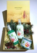 Парфумерія, косметика Набір - Organique Botanic Garden Set 4 (b/lot/250ml + b/peeling/200ml + sh/gel/250ml)